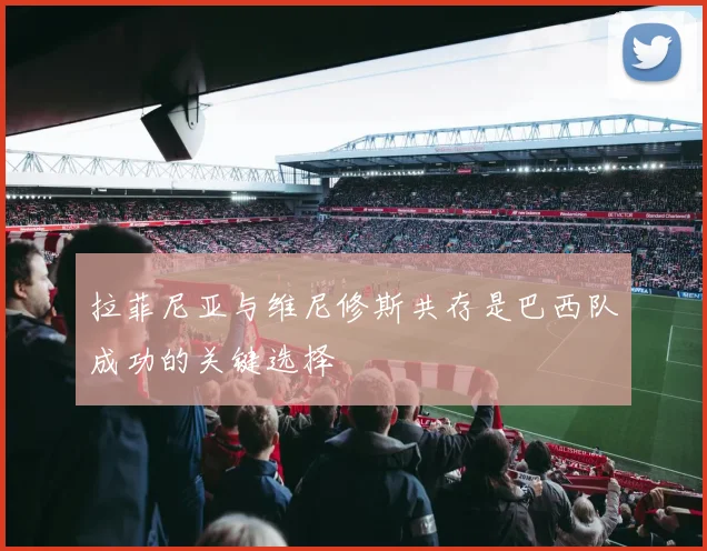 拉菲尼亚与维尼修斯共存是巴西队成功的关键选择